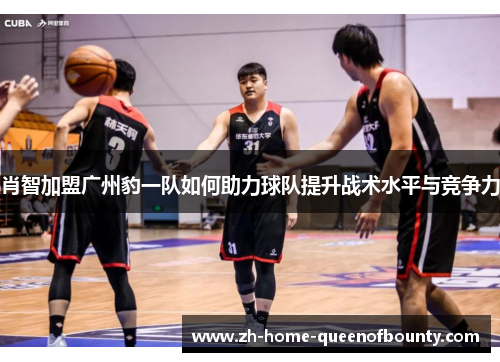 肖智加盟广州豹一队如何助力球队提升战术水平与竞争力