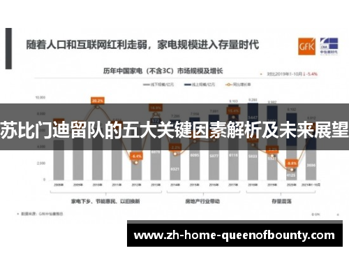 苏比门迪留队的五大关键因素解析及未来展望