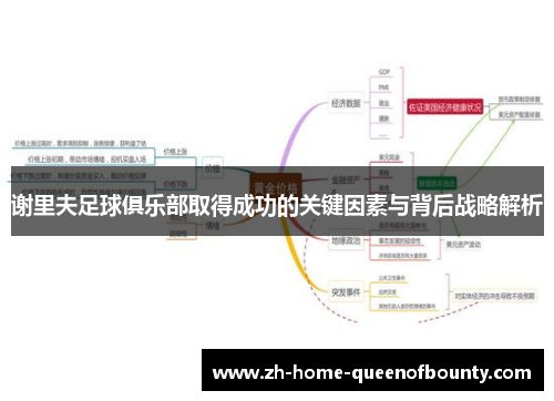 谢里夫足球俱乐部取得成功的关键因素与背后战略解析