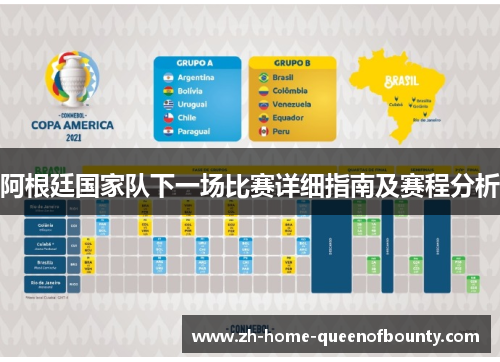阿根廷国家队下一场比赛详细指南及赛程分析
