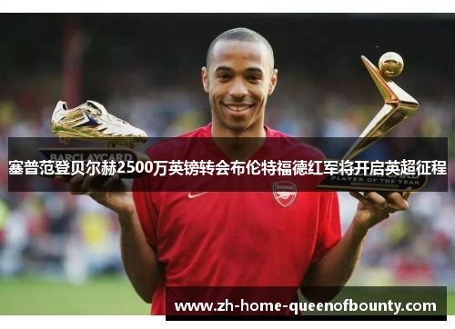 塞普范登贝尔赫2500万英镑转会布伦特福德红军将开启英超征程